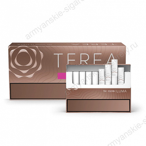 Стики TEREA Teak